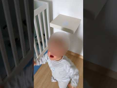 RfidShelf Test
