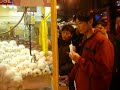 Taichung UFO Catching
