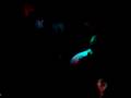 videos de 