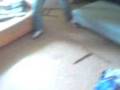 Wkur****y Dzikus 2