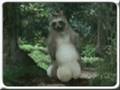 videos de Quick AIM and Naroration test
