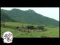 JUMONG MV
