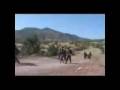videos de Kurdish Army / Kürt Ordusu / Kurdische Armee by COBRA