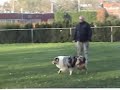 G&G sorteren G&G sorteren