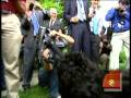 Bo's Tug Of War With Press
