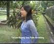 clips sasak ..