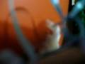 videos de Music