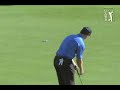 Tiger woods