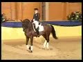 LANCET dressage horse