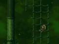 Donkey Kong Country 2 - Librate de la Piraña + Bugs