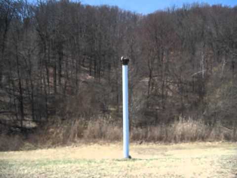 how to cap a vent pipe