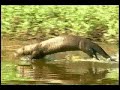 Pantanal e Bonito - Lindas paisagens! - Brasil