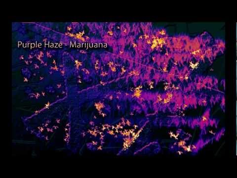 how to make your weed purple