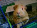 Punky und Kr�mel (5)