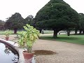 Hampton Court Gardens