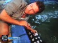 Tubarão Touro Nascendo Um Predador.Desde A Fecundação da Mamãe Tubarão,o pequeno tubarão ainda dentro da barriga da mãe já ataca seus parentes,vindo a nascer apenas um filhote,aquele que devorou e sobreviveu!