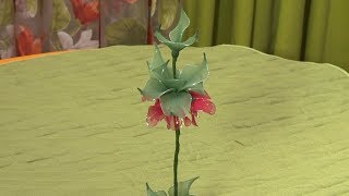 زهرة البيڤونية | قسطبينة - ركن تشكيل الأزهار على الطريقة الصينية  | فتوى أوكيد | Samira TV