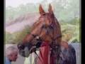 Great Racehorses Great Racehorses