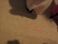 Phone Smash