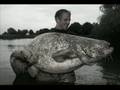 Black Label Baits Welsrekord