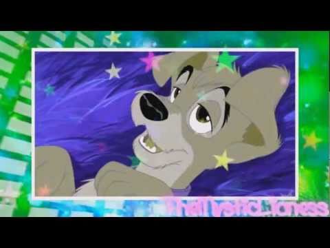 sugar rush sugar rush