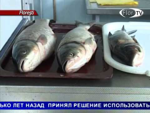 Прощай, рыбалка