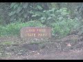 Hawaii Big Island Beautiful Puna District