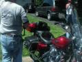 videos de Wild Bill and his Hog