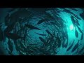 the-secret-planet-earth-visualization-tool.html