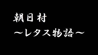 朝日レタス物語