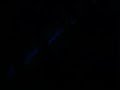 Van der Graaf Generator - Lemmings *Live*