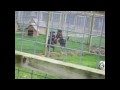 Hope there's someone - Animal shelters