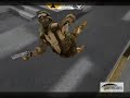 ragdoll fun