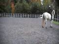 Riding Bridleless with Targeting
