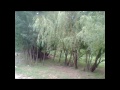 Tera naam likh kar.wmv