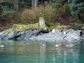 CRUISING ALONG AFOGNAK ISLAND