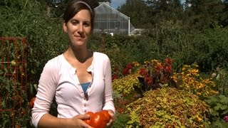 Organic Gardening Basics
