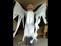 Devon_Evil_Santaman.MOV