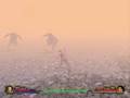 videos de Eragon - Misty Gorge part 1 (lvl 13)