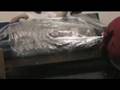 Brett Plastic Wraps Charles to the Couch