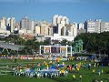 Palmeiras Campe�o Paulista 2008