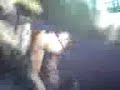 ricky bailable