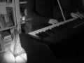 Hairnet Paradise, CocoRosie (Cover)
