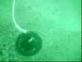scuba diving video (part 2)