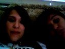 seesters