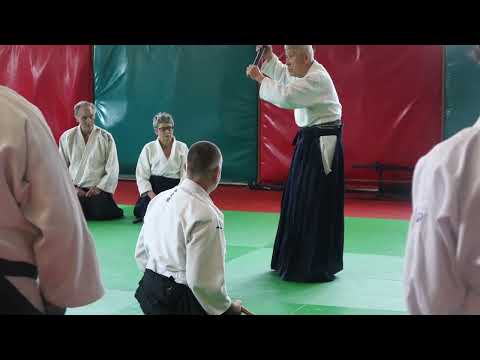 13 202604 SUGA Vire Armes Kumitachi