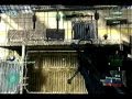 POISEN MONKEY - Montage part 2