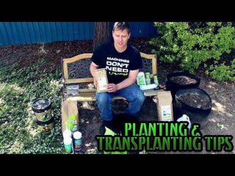 how to replant your garden