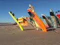 The World's First Surfing Mice - The Radical Rodents