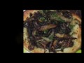 savoy-cabbage.mp4